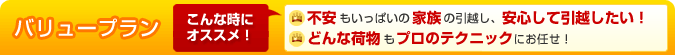 バリュープラン