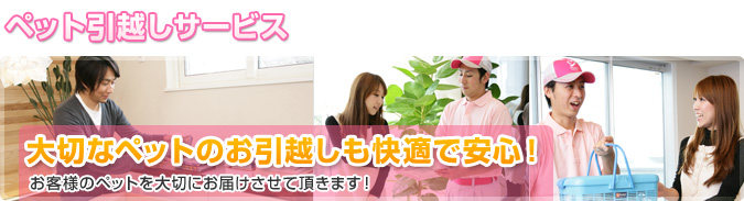 ペット引越しサービス 大切なペットのお引越しも快適で安心！